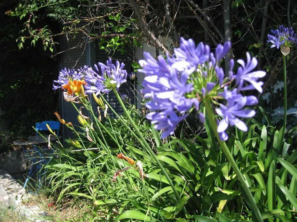 Bed and Breakfast La Colombiere Grasse 0*,  Frankreich