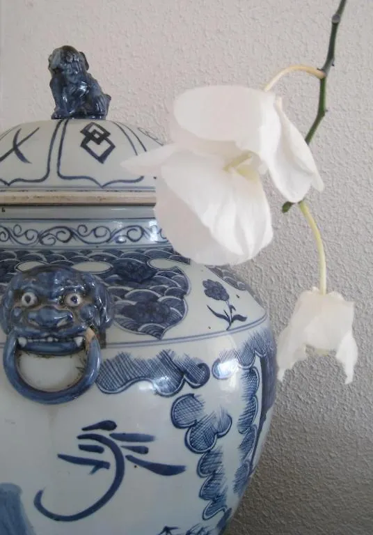 Bed and Breakfast La Colombiere Grasse